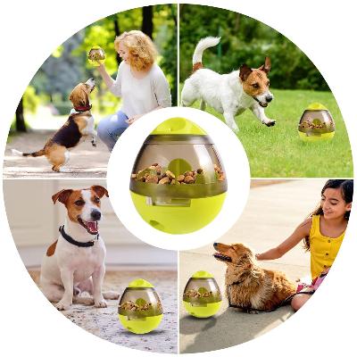 Jouets chien - FeedMaze™ - Vert