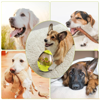 Jouets chien - FeedMaze™ - Vert