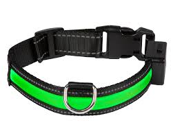Collier chien | Lumineux LED Rechargeable