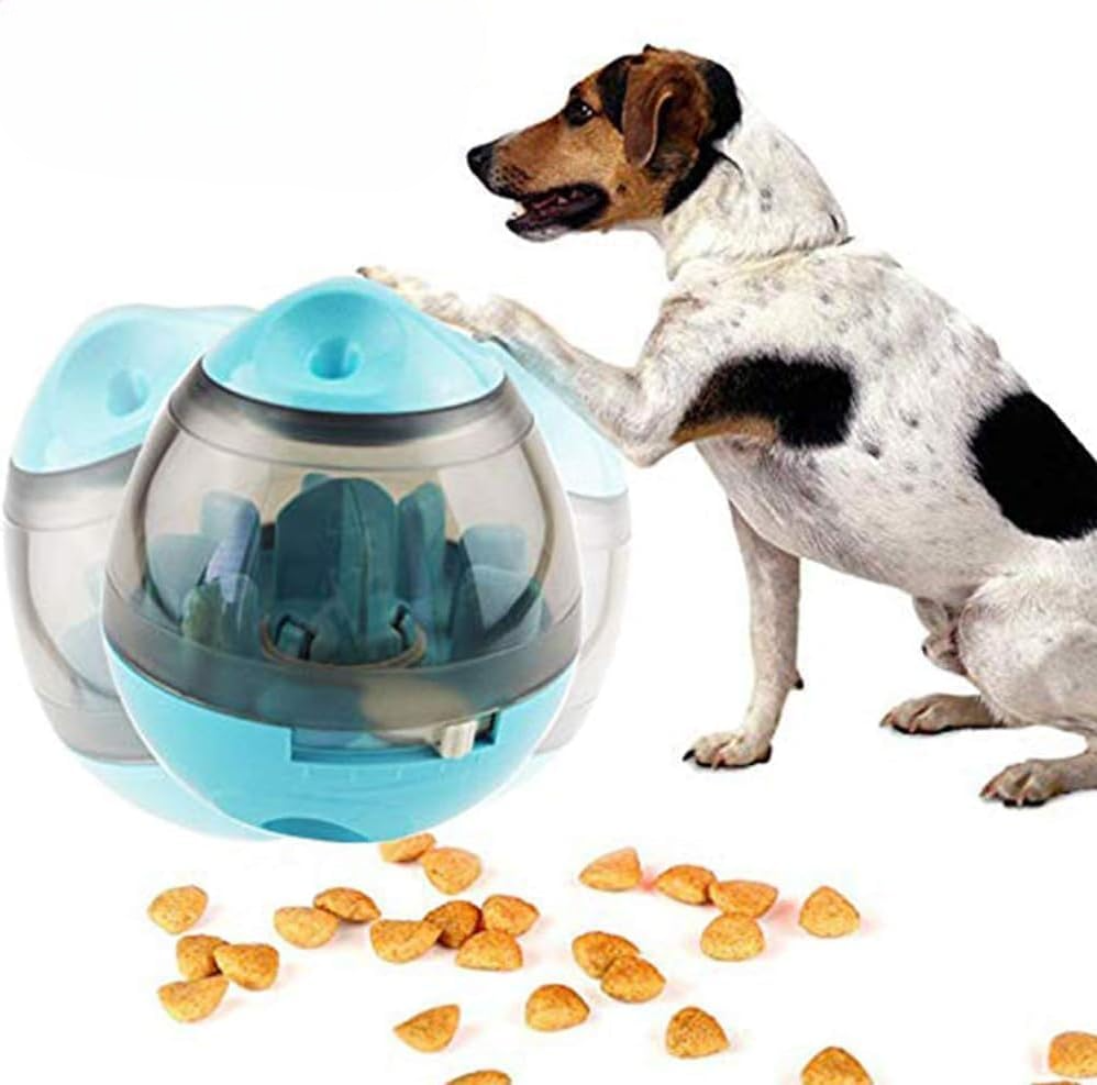 Jouets chien - FeedMaze™ - Bleu