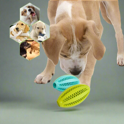 Balle pour chien - ChewBounceBall™ - Vert