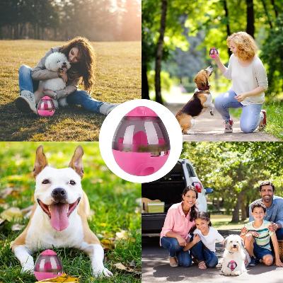 Jouets chien - FeedMaze™ - Rose